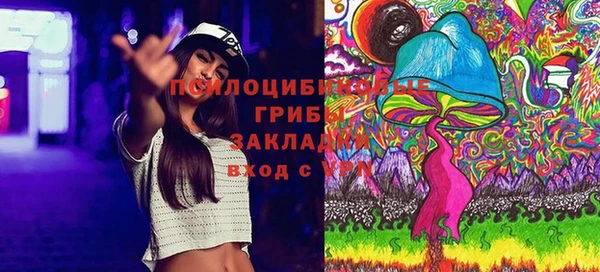 спиды Абаза