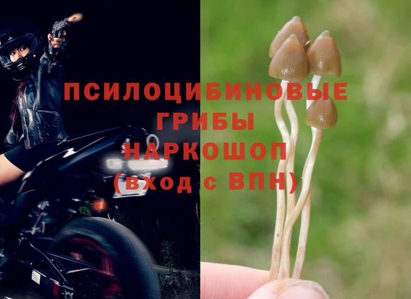 первитин Абдулино