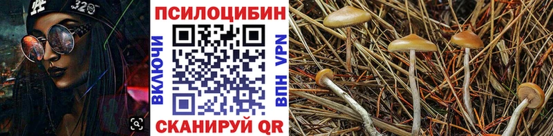 Галлюциногенные грибы Magic Shrooms  мориарти как зайти  Брюховецкая  наркота 